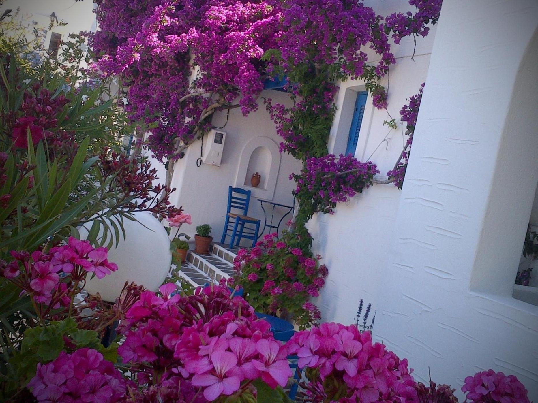 Pelagos Studios Parikia  Exterior photo