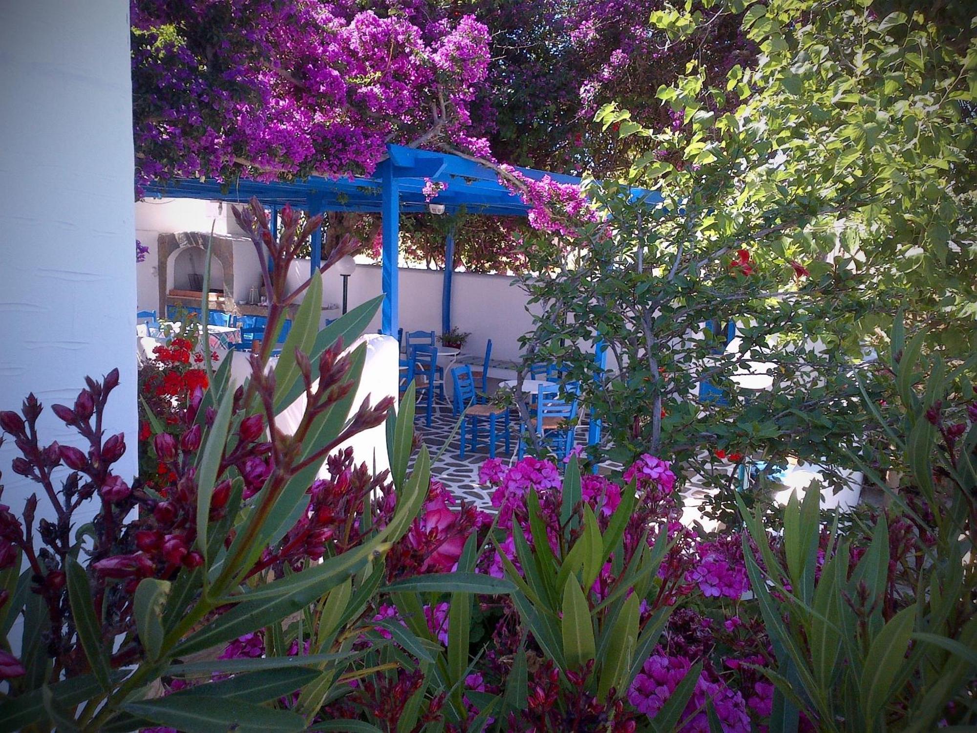 Pelagos Studios Parikia  Exterior photo