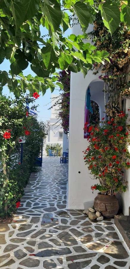 Pelagos Studios Parikia  Exterior photo